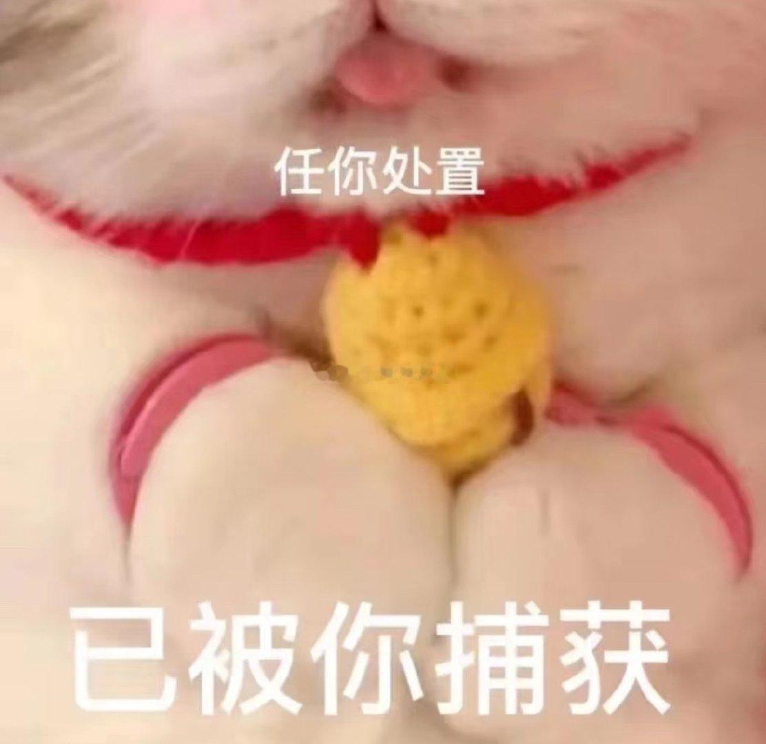 怎么回事！你们在主页刷不到我了嘛我哭好像不止一个小宝说好长时间不见我了但是我天天