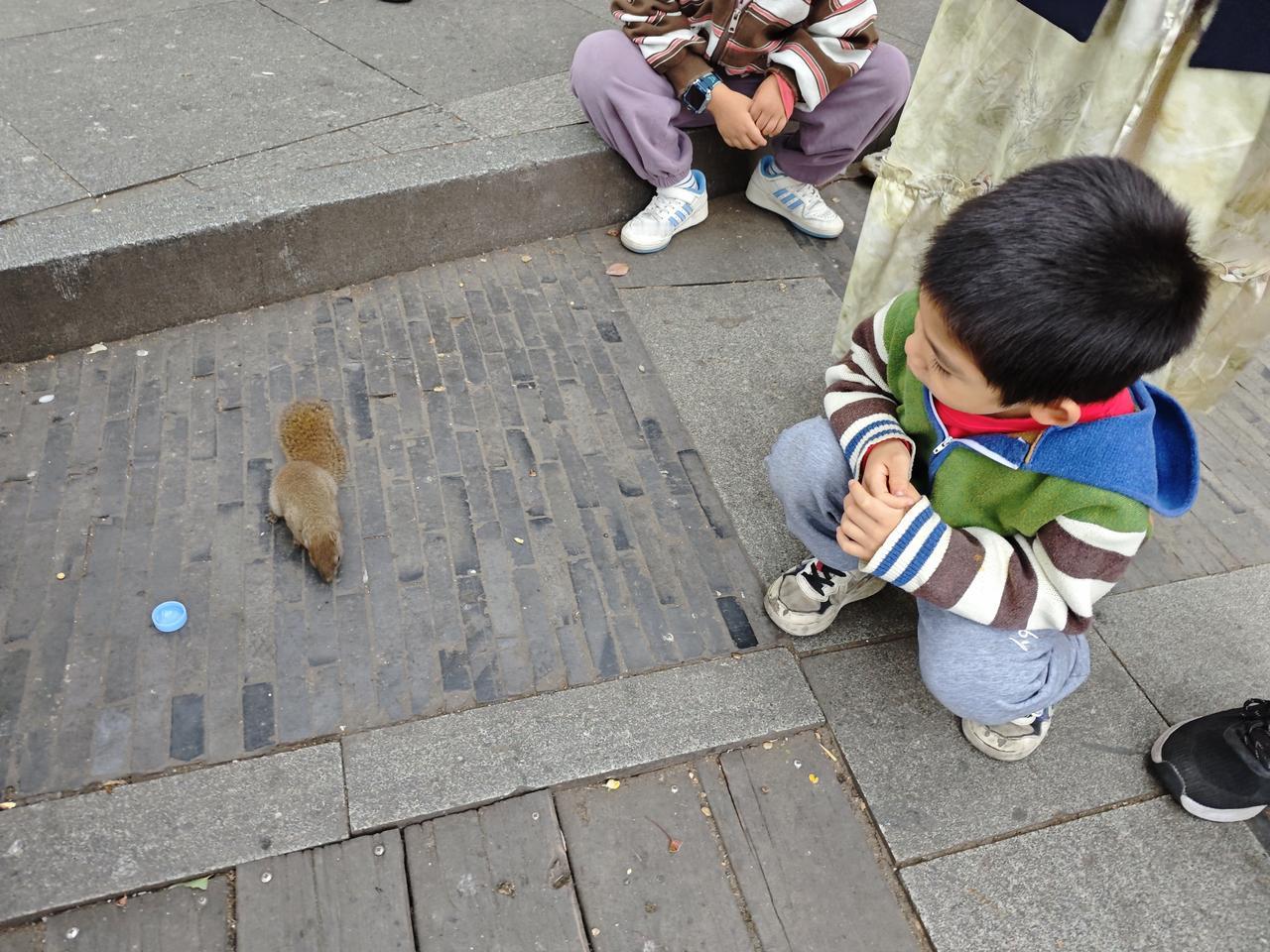 解决孩子以学习为借口偷看手机的问题需要家长的耐心和引导，通过沟通、监督、丰富生活