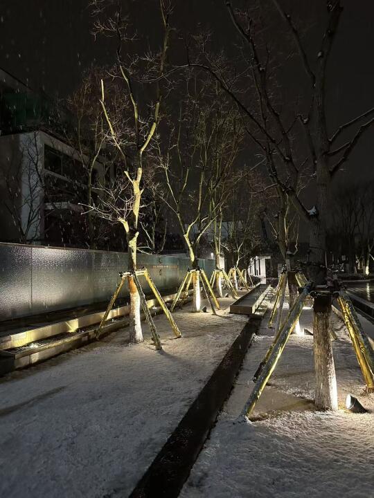 贵阳3月下雪了！期望明天起来全铺满