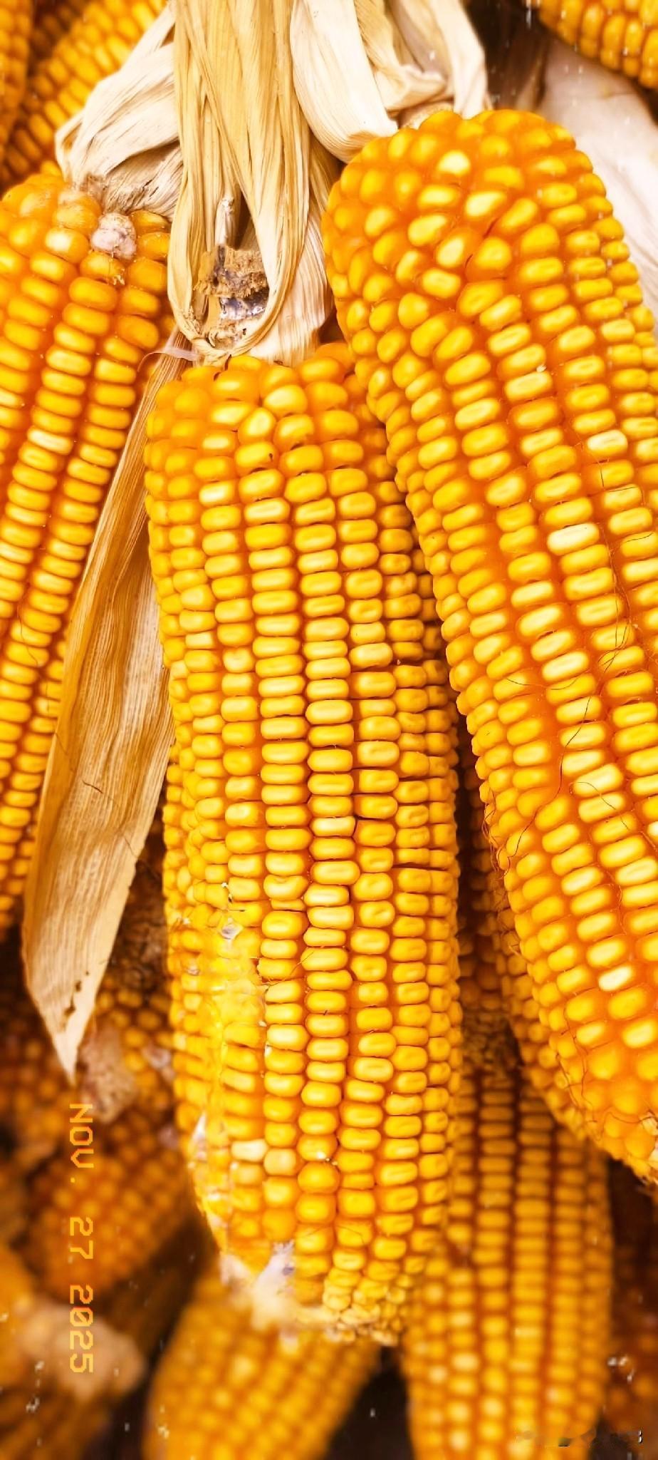 友们一起对对联喽！
一起动手又动脑，
头脑灵活人不老。

上联：三秋丰硕果
下联