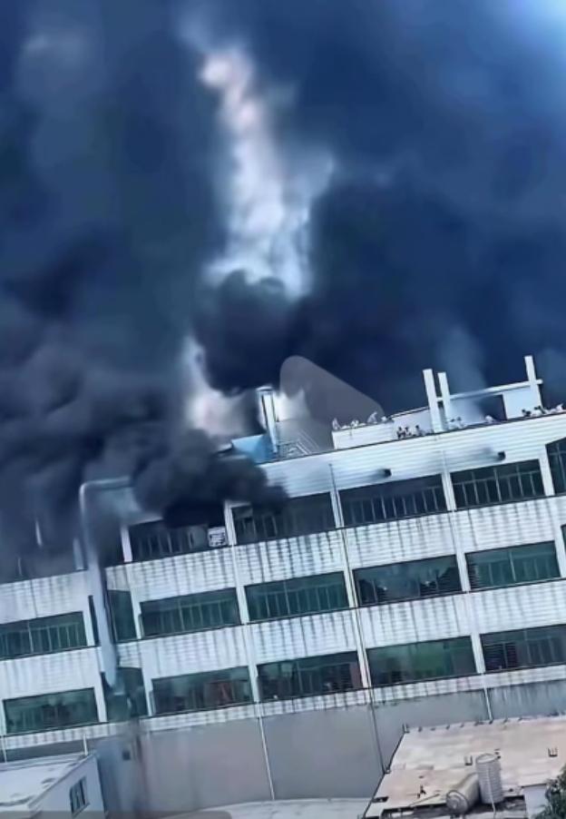 通过分析福建晋江相关视频的截图，现场完全有能力有时间架设梯子、布设气垫！

这些