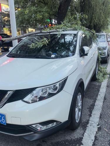 日常合规停车，却因天气突发状况遭遇车辆损耗，事后多方对接对应部门，却因权属划分模