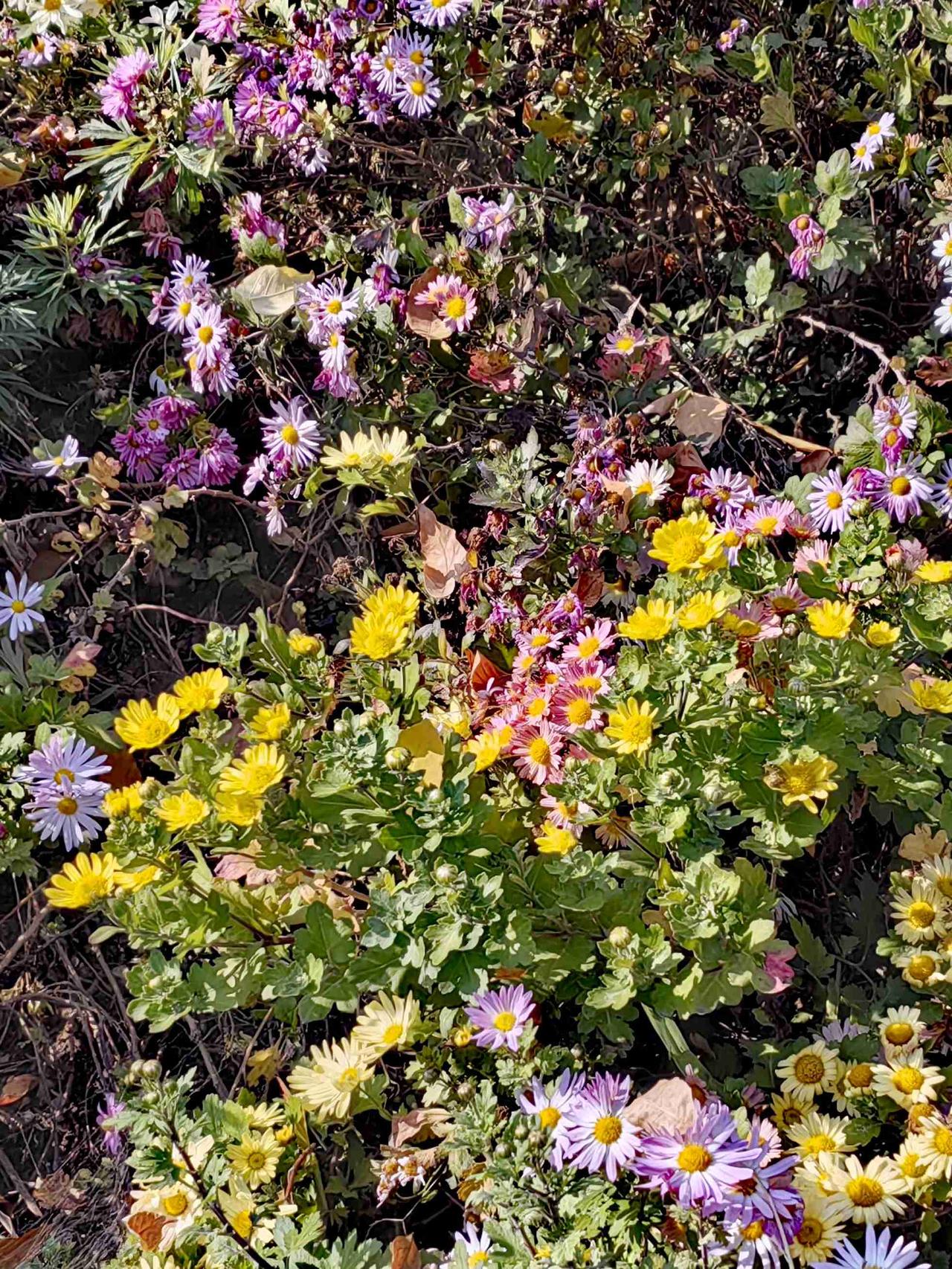 我的今日状态：😁轻松愉快
我这里的天气：☀️晴天

又是美好的一天！

虽然天