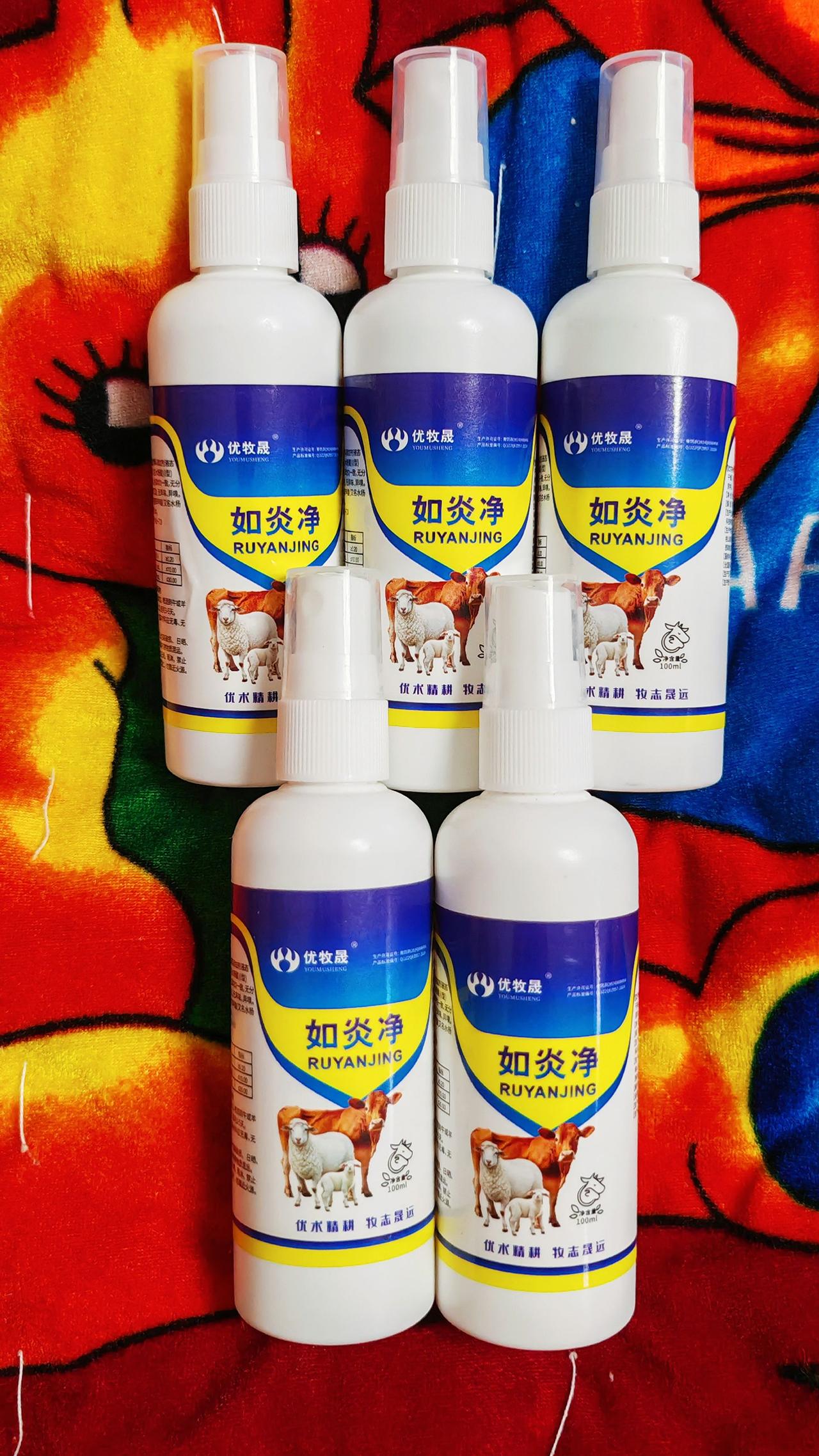 养羊人 牛羊养殖 农村养羊