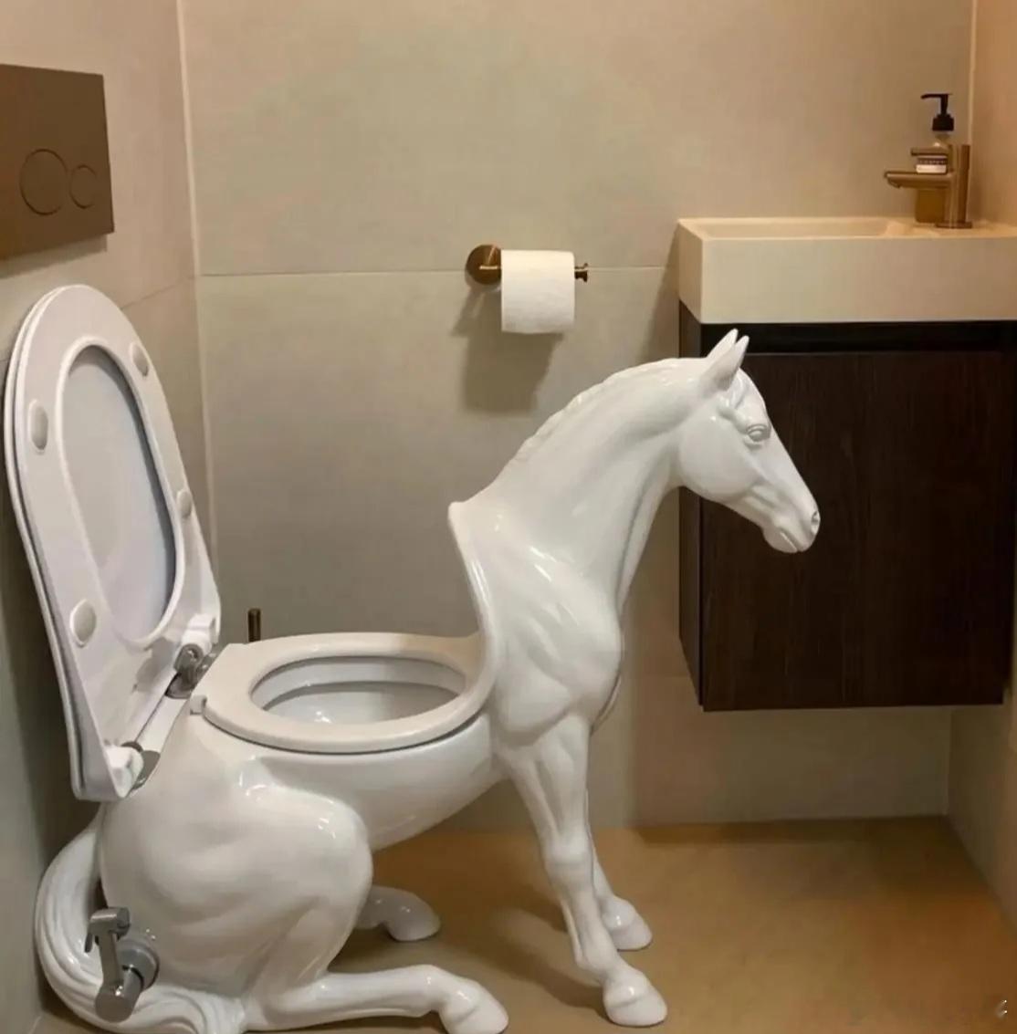 谁能告诉我这马桶怎么用？ 