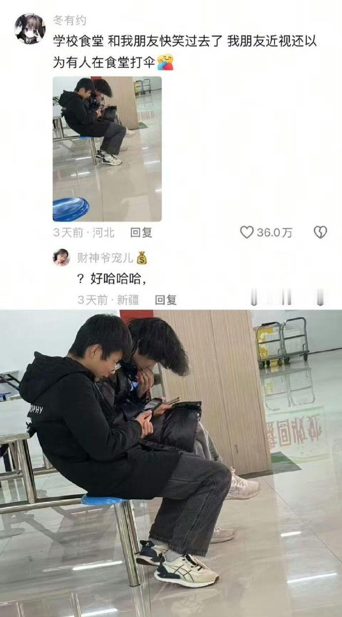 笑点低的人看不了这些 