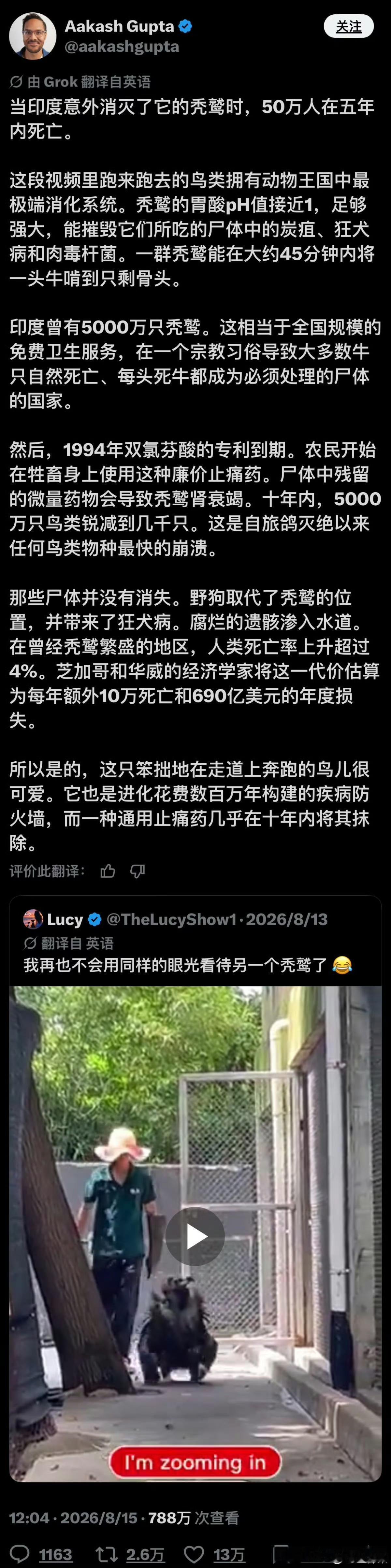 可怜的秃鹫。