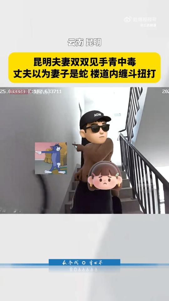 哈哈哈，笑不活了[笑哭][笑哭]！昆明一对小夫妻，买了见手青在家里炒，由于未彻底