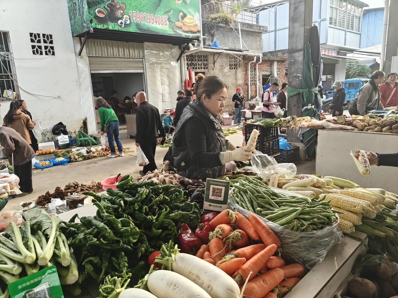 今年冬天来西双版纳猫冬的老人，看来还要有超越去年冬天猫冬老人总数的趋势。
​现在