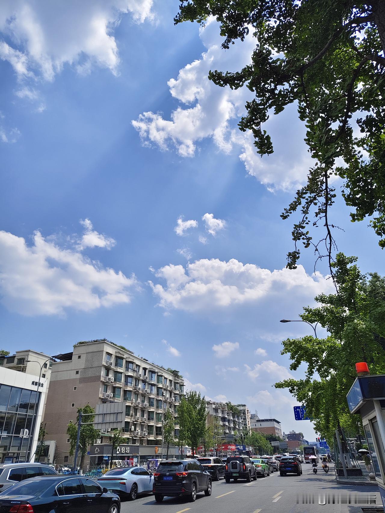做上公交，去盐市口溜达溜达。
今日天候微热，吃过午饭后便搭上公交再赴盐市口，前几