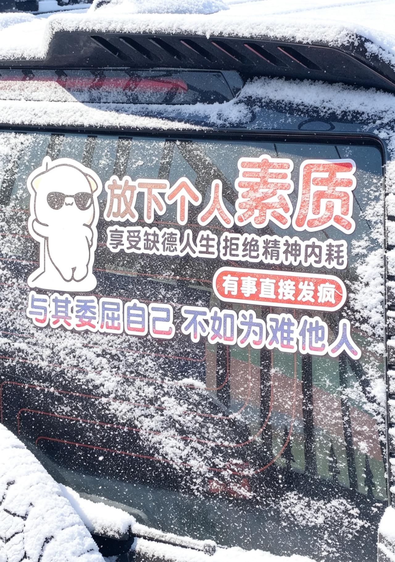 “虾人素质，享受缺德人生拒绝精神内耗，有事直接发疯，与美委屈自己不如为难他人”