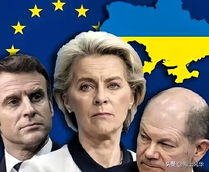 其实事实证明一旦欧盟把技术搞到手，中国企业再把工厂建起来，马上就会像非洲的尼日尔