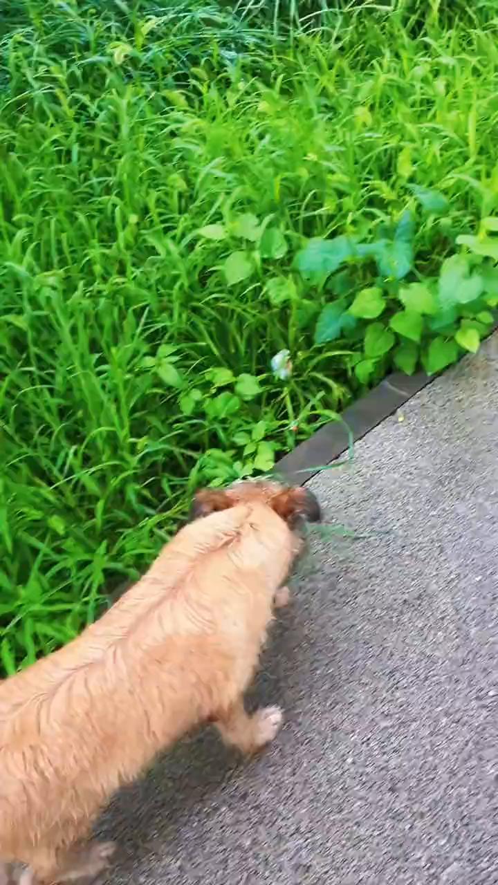 要不要送她去上班？我有点看不惯她这么悠闲。