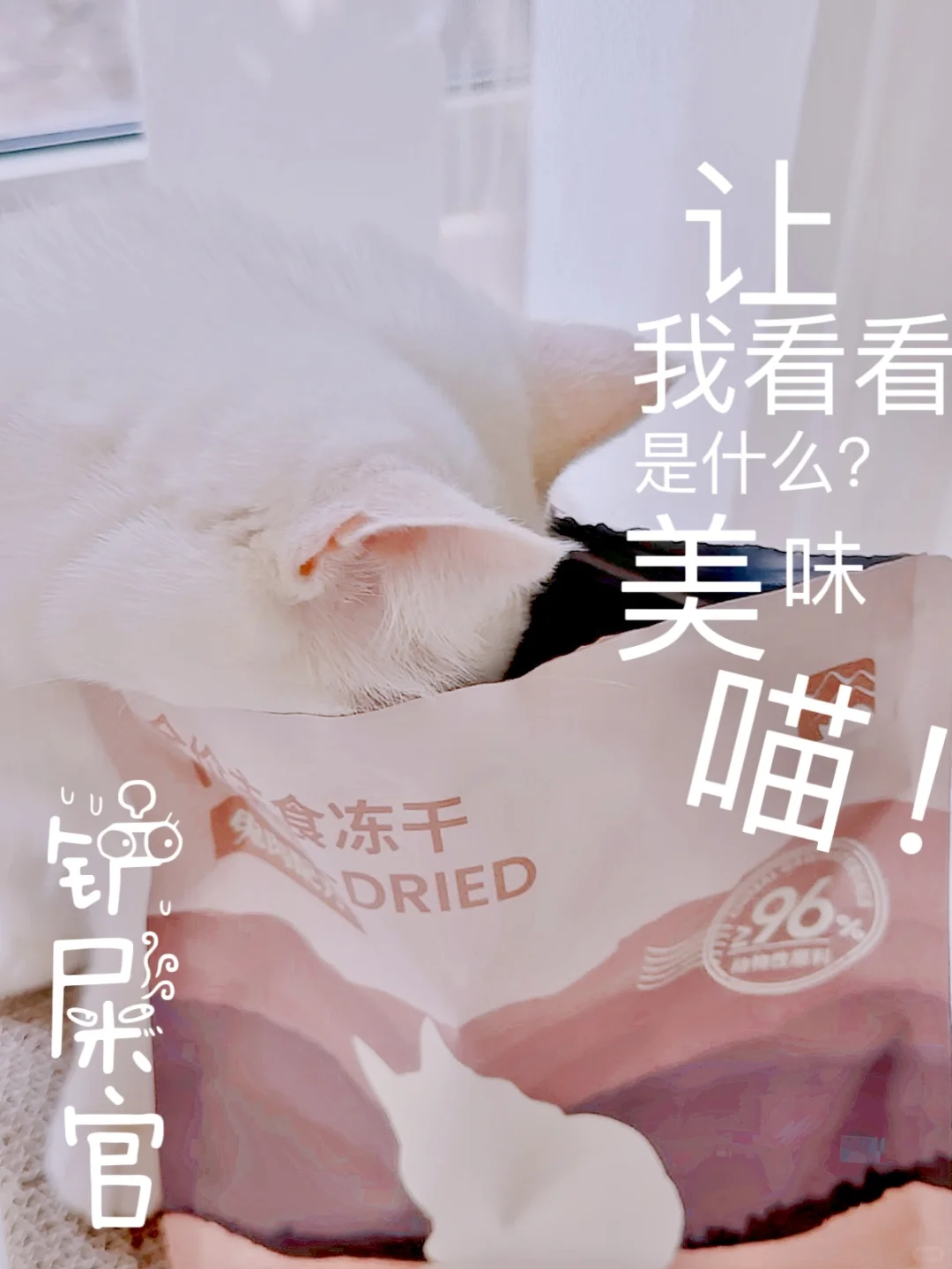 山下有猫🐱它与远山皆可见