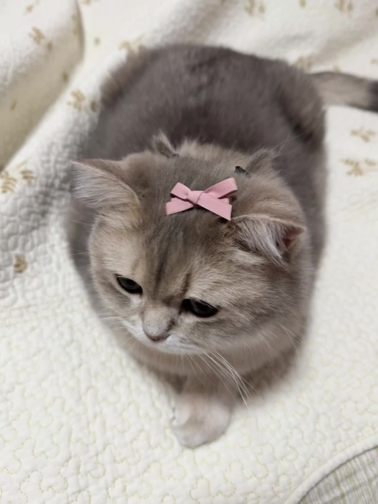 我们今天是🎀猛男