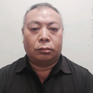草木情深