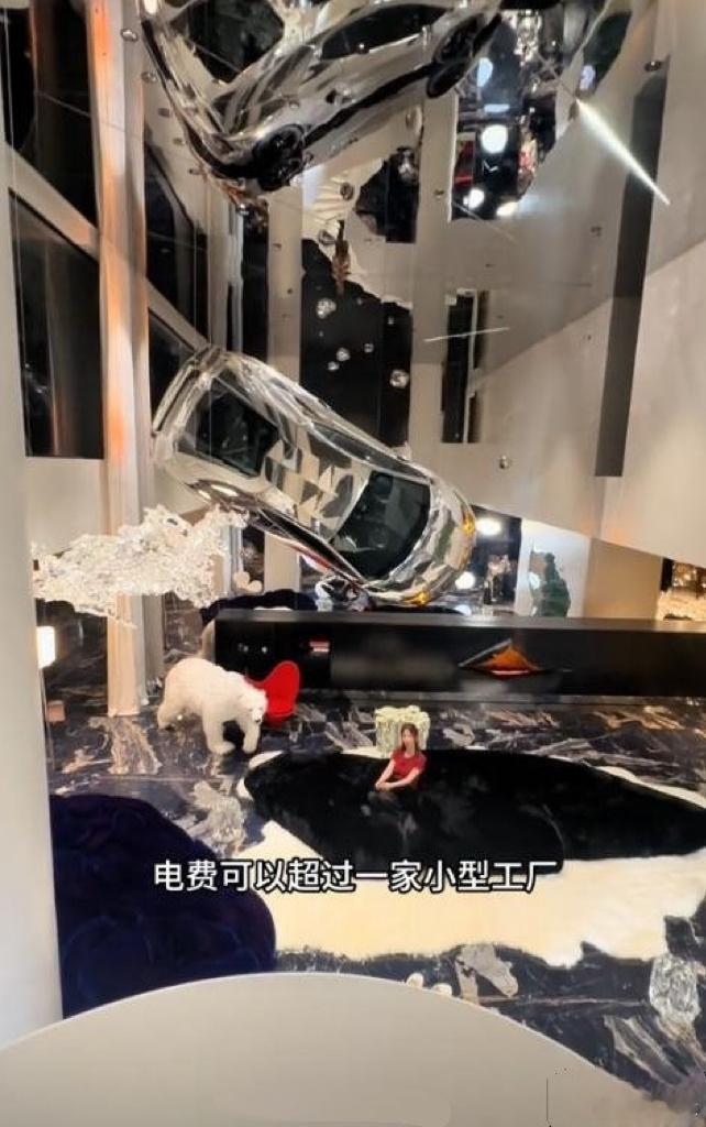 一年电费40万炫富网红被禁言一年40万电费，装有300万的气候系统，乍一听还以为