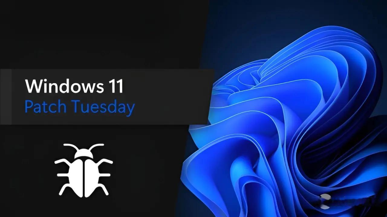 微软于上周推送了 Windows 11 六月 Patch Tuesday 更新 