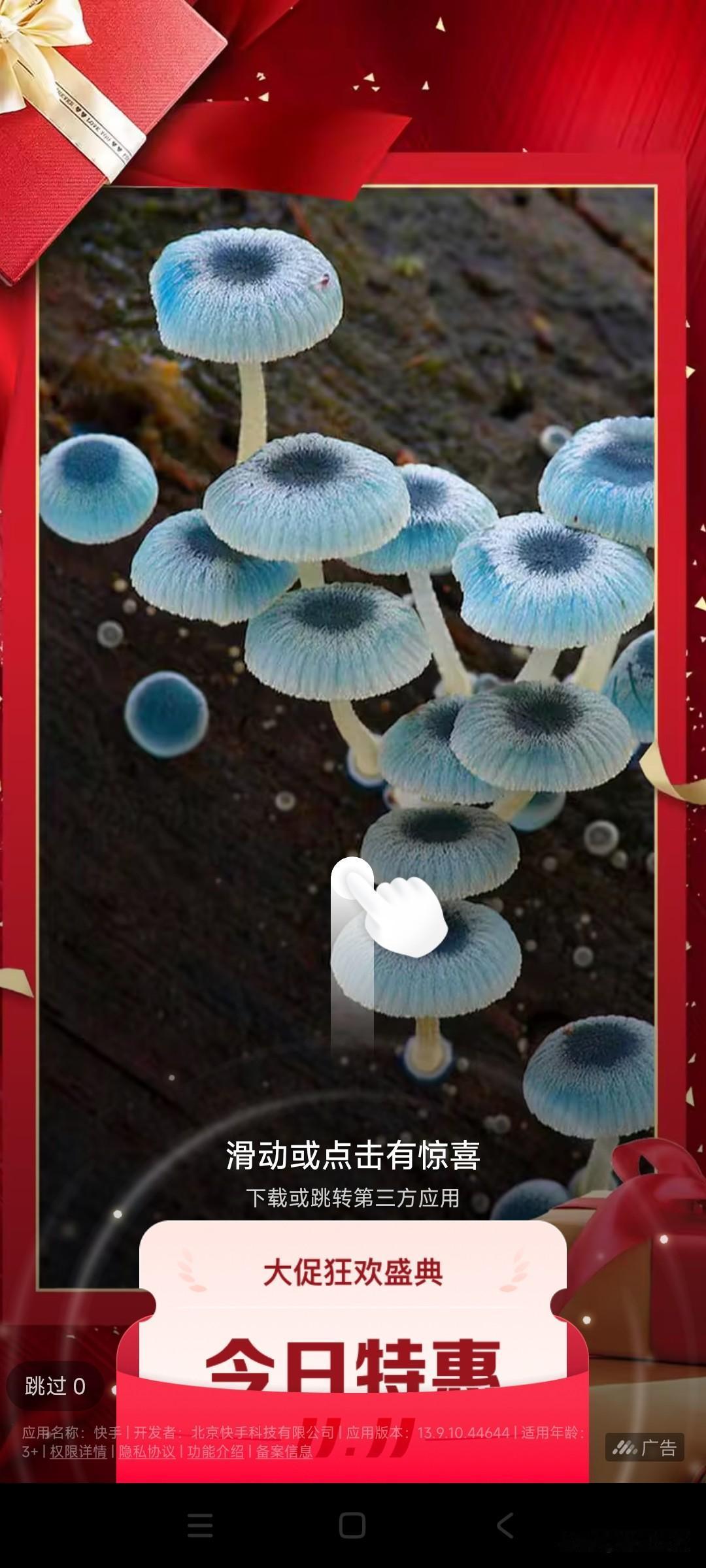 2025年已经成了过去式，几乎跟所有已经过去的年份一样，没有什么成就感，日子平静