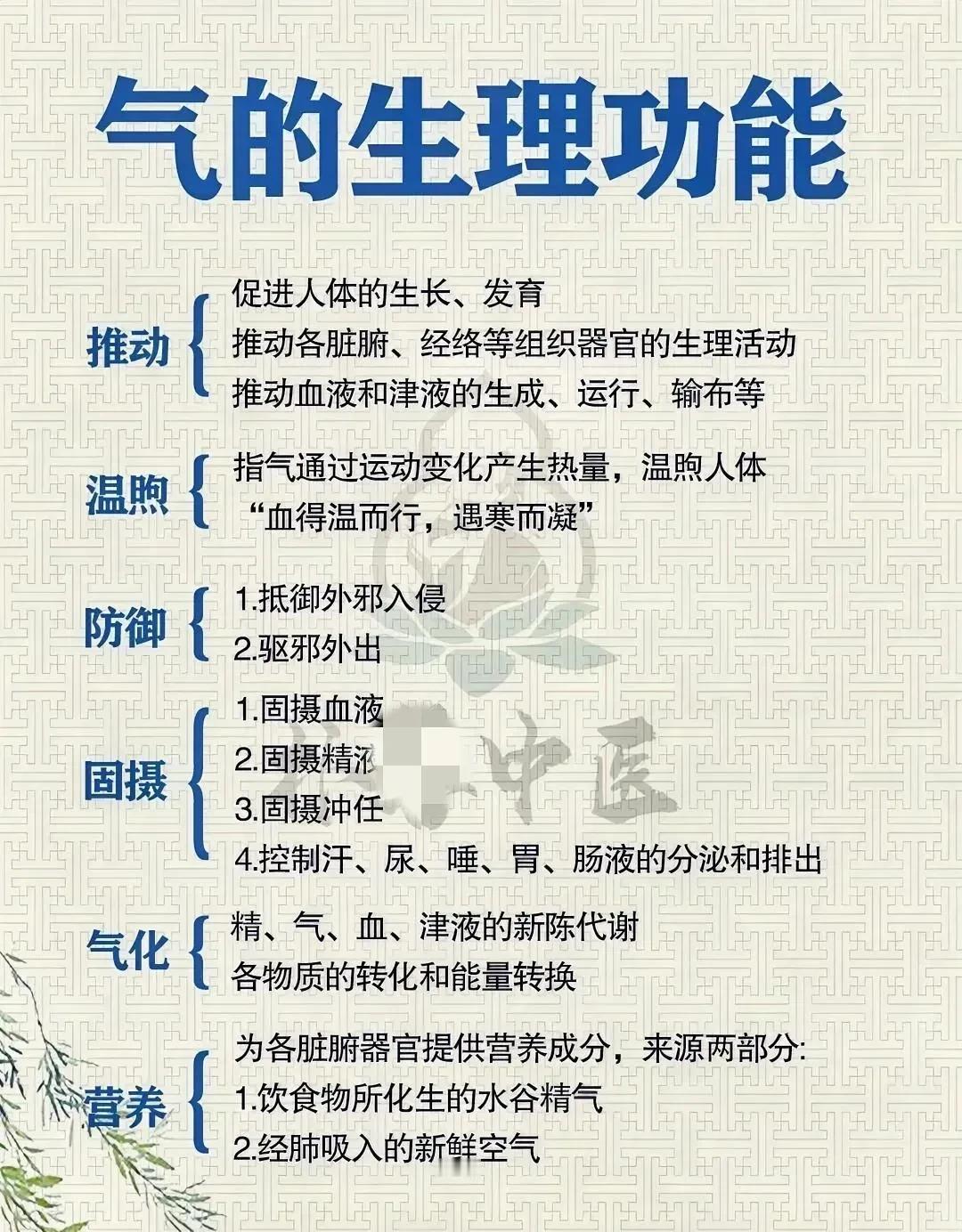 气在中医里扮演着重要的角色，它不仅能促进人体的生长、发育，还能推动脏腑经络的生理