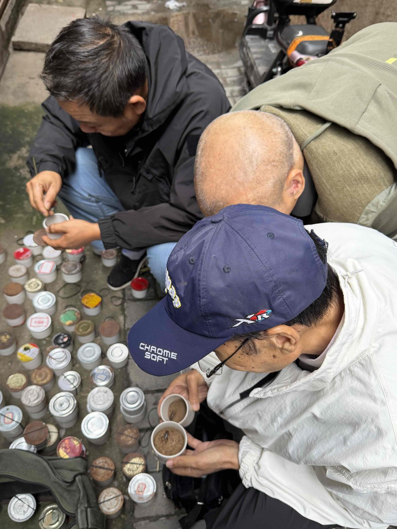 前天上午，我逛西安档子，走到西仓东巷时，看到一条小胡同里，满是售卖蛐蛐的摊子，就