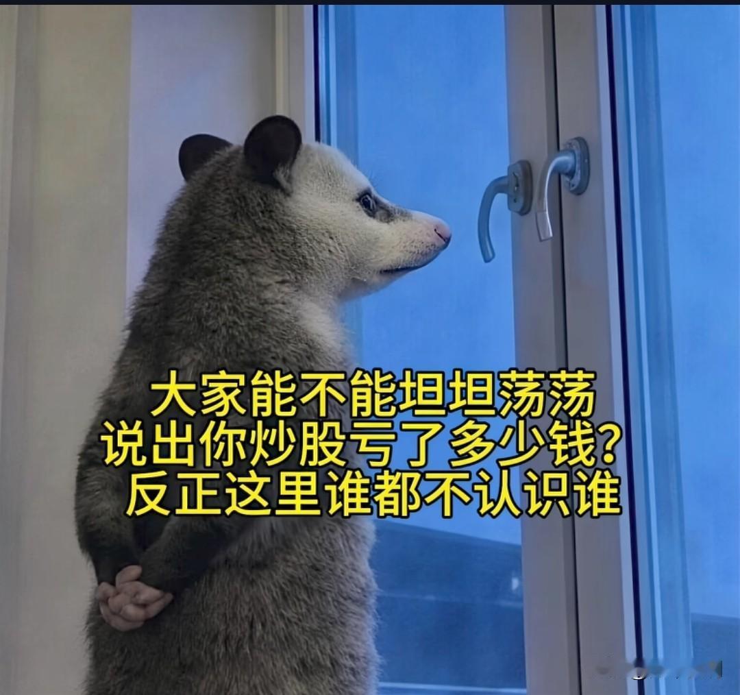 大家都说说在股市到底亏了多少钱？反正这里谁都不认识谁。