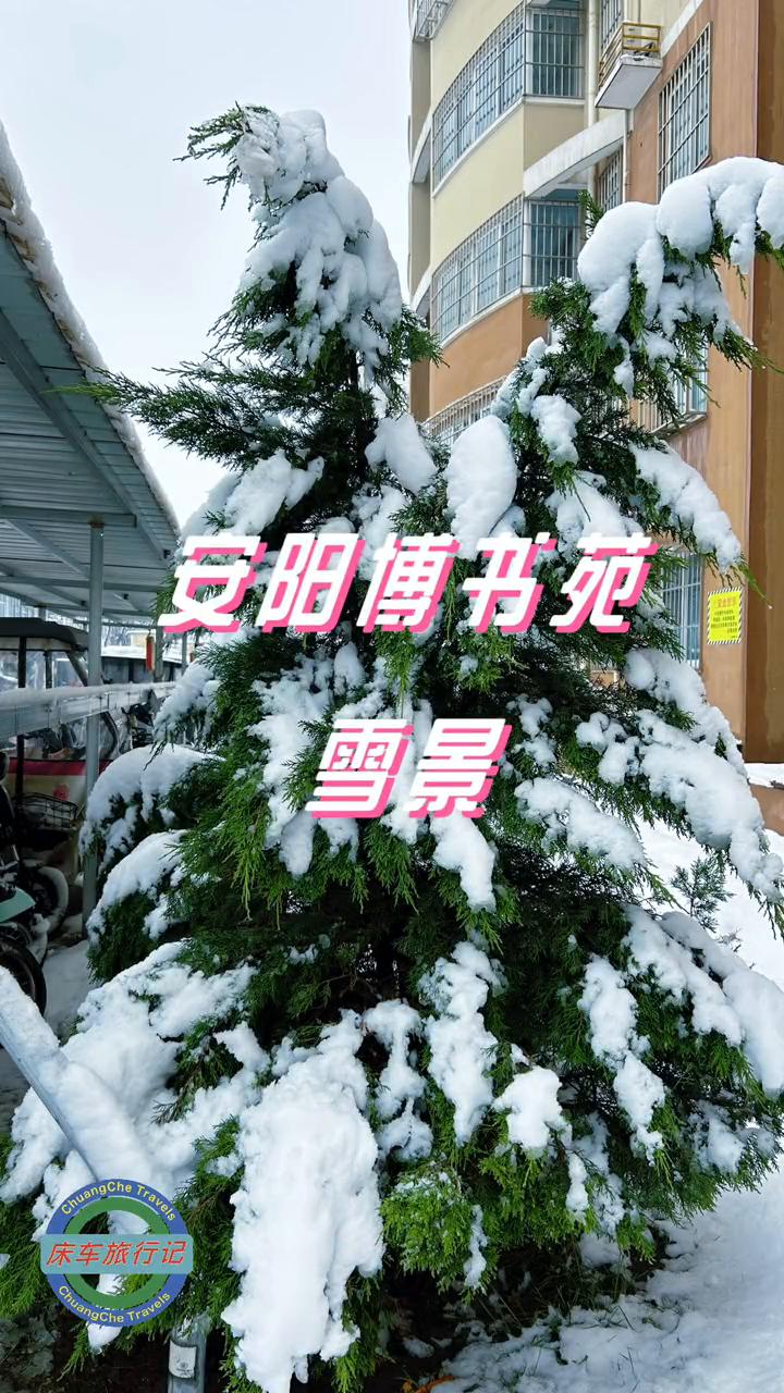 安阳博书苑雪景。
云霞的快乐。