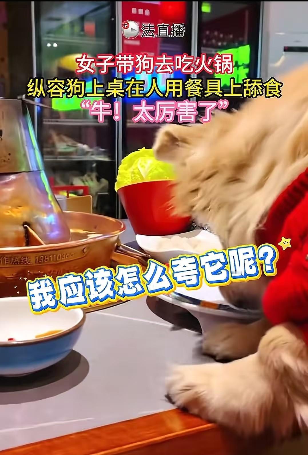北京，女子带狗吃火锅，让狗上桌吃羊肉卷引众怒，百万索赔案待审。

北京一家火锅