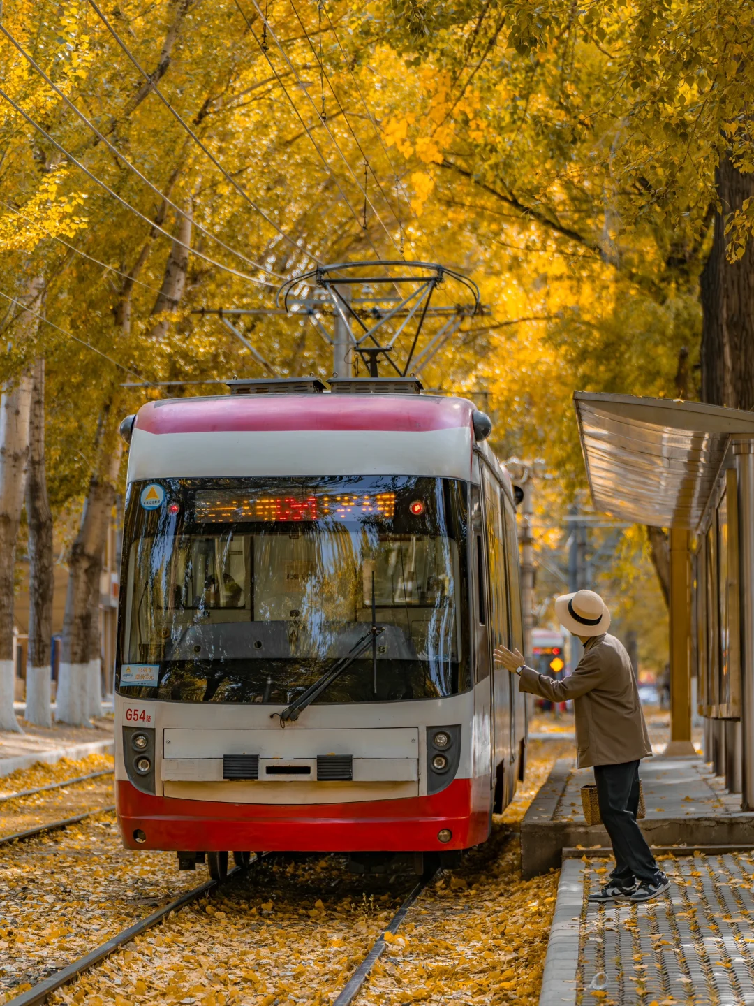 为了这趟有轨电车🚃专程飞了趟长春