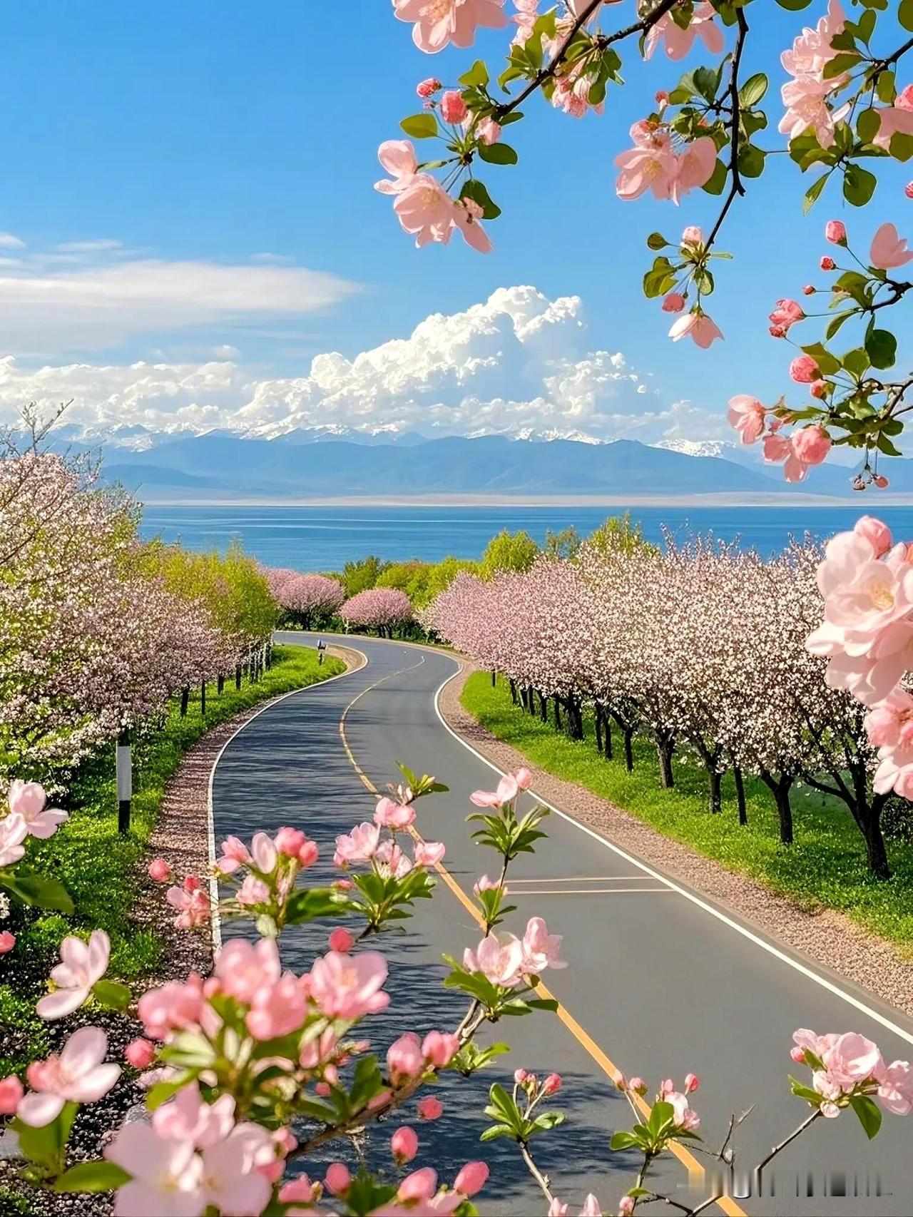 念春
 
春风轻柔，撩动柳丝。庭院里，桃花灼灼盛放，瓣瓣粉蕊如少女羞红的面庞。
