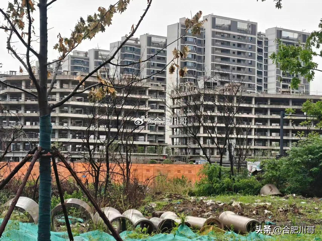 网友：伟星东新壹号商业都长草了，什么情况？
项目代建写字楼（图二）都要交付了，为