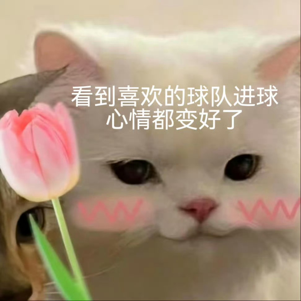 门神天降！佛得角门将极限扑救惊艳全场。看球配夜宵，来淘宝闪购夏日拼团季，点外卖更
