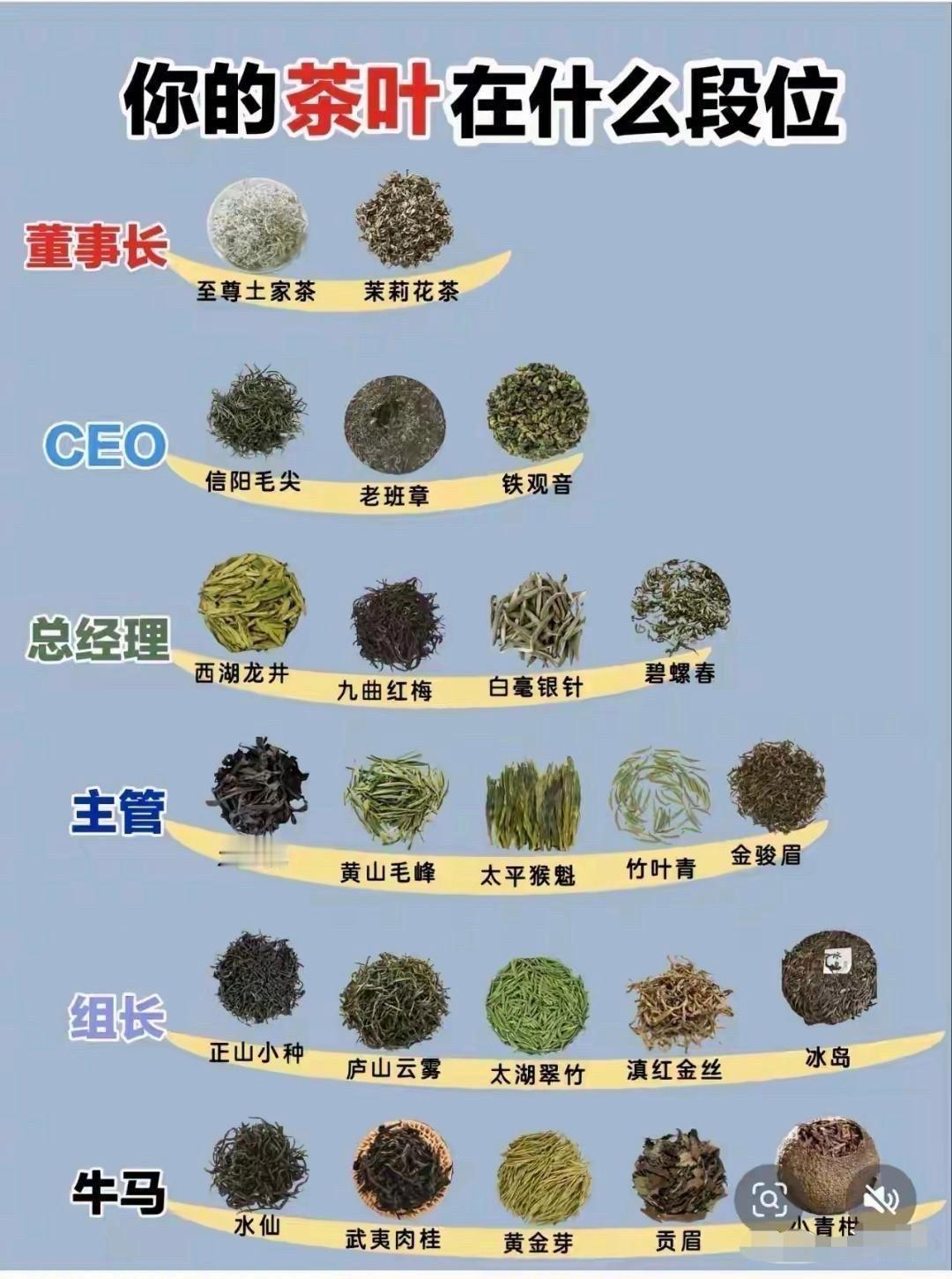 刷到这张把茶叶按“董事长、CEO、总经理、主管、组长、牛马”职场段位划分的趣味图