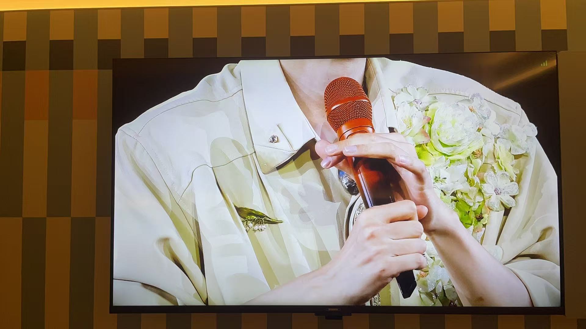 投屏放大欣赏小嵩嵩的每一根头发丝儿 好爽啊……