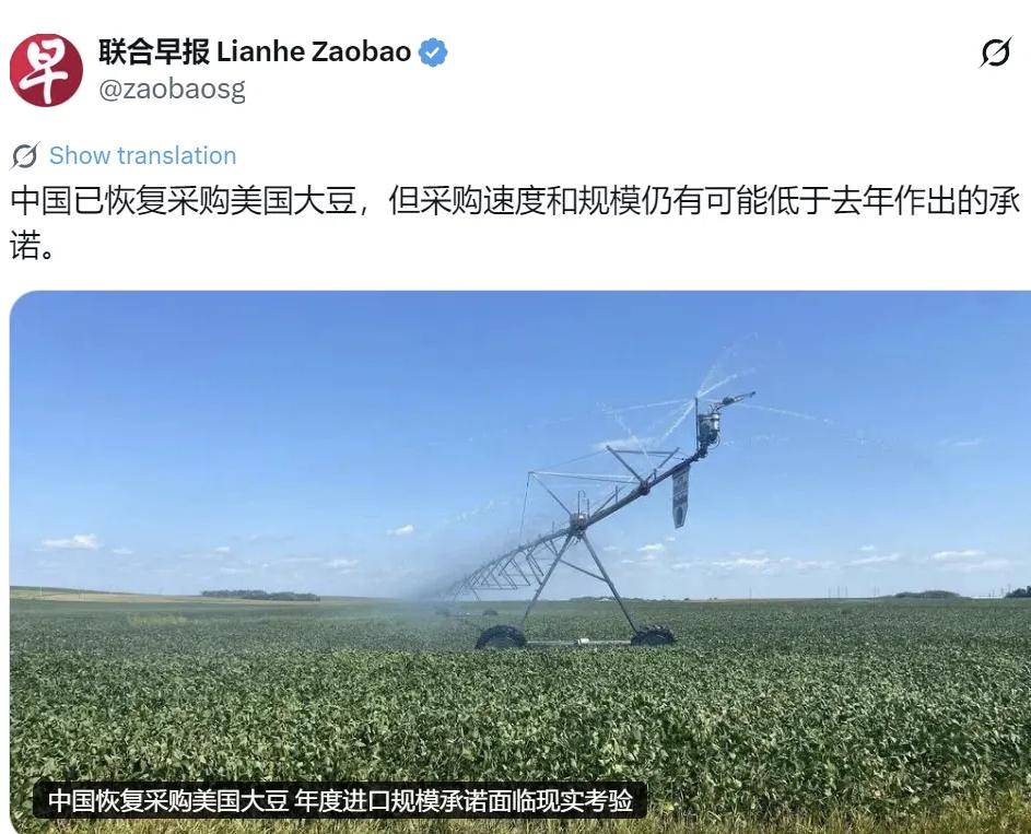 新加坡《联合早报》6月30日提到一条消息：中国已经恢复从美国采购大豆，但采购进度