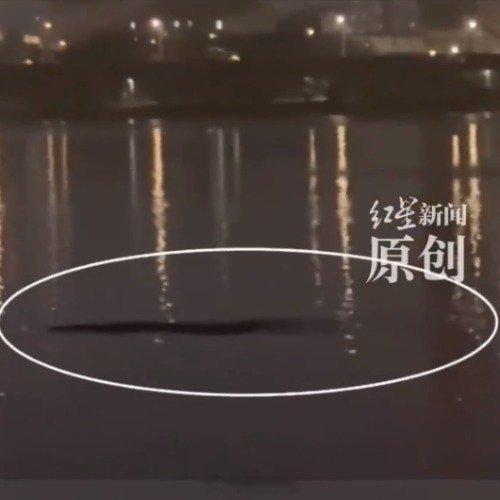 韩国汉江惊现巨型不明物体电影🎬里的《汉江怪物》，现实中的不明物体～也有可能是随