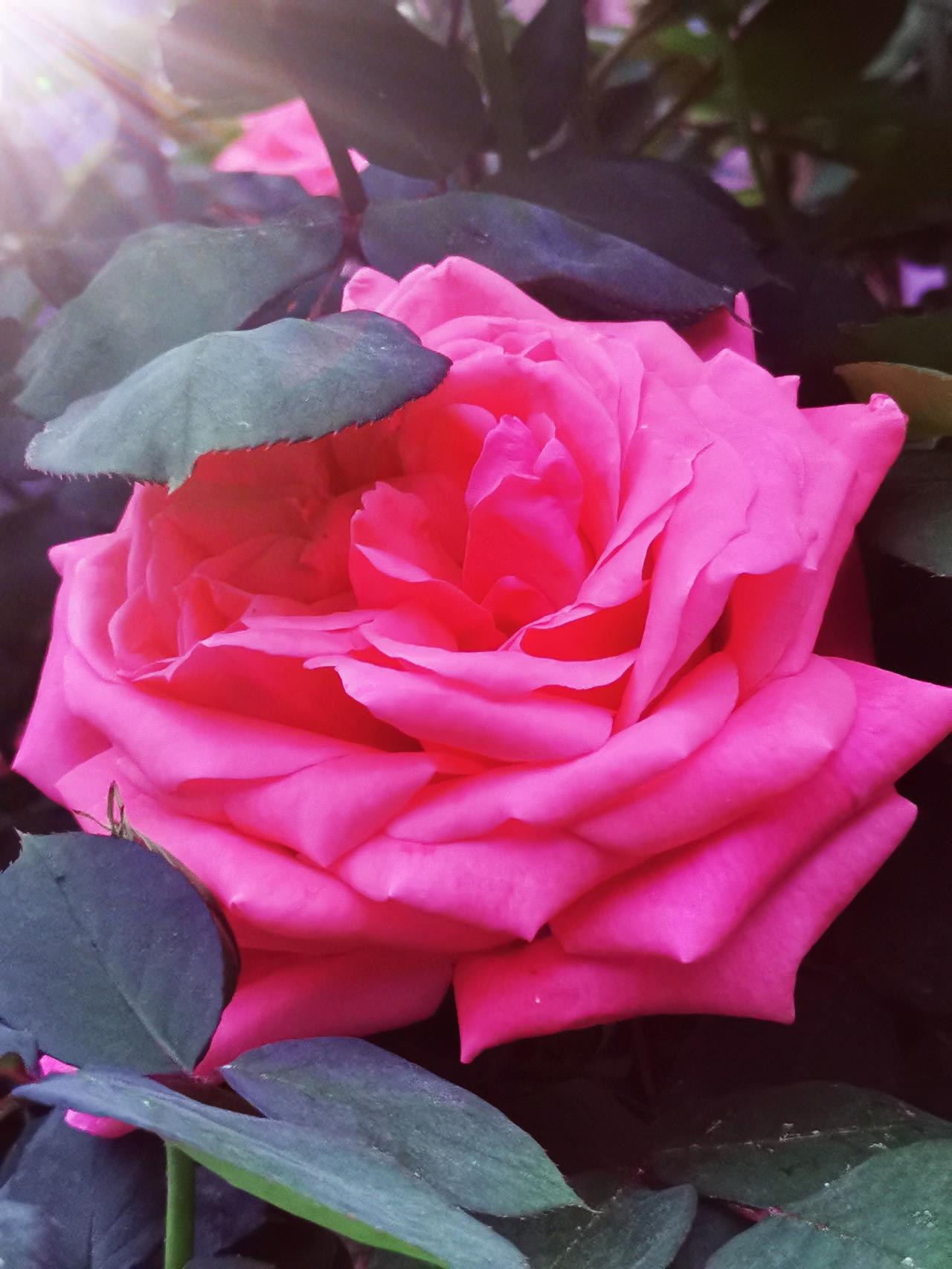 汉中天汉文化公园