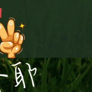 早安语录 ☀早呀~风很温柔，花很安静，你很值得。放下内耗，轻装出发，愿一整天舒心