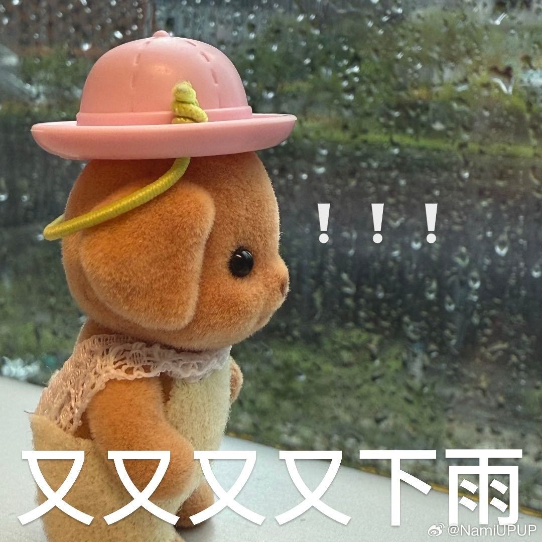 被演唱会天气背刺了本以为小雨不碍事，结果越下越大，周围人全都裹着雨衣，就我孤零零