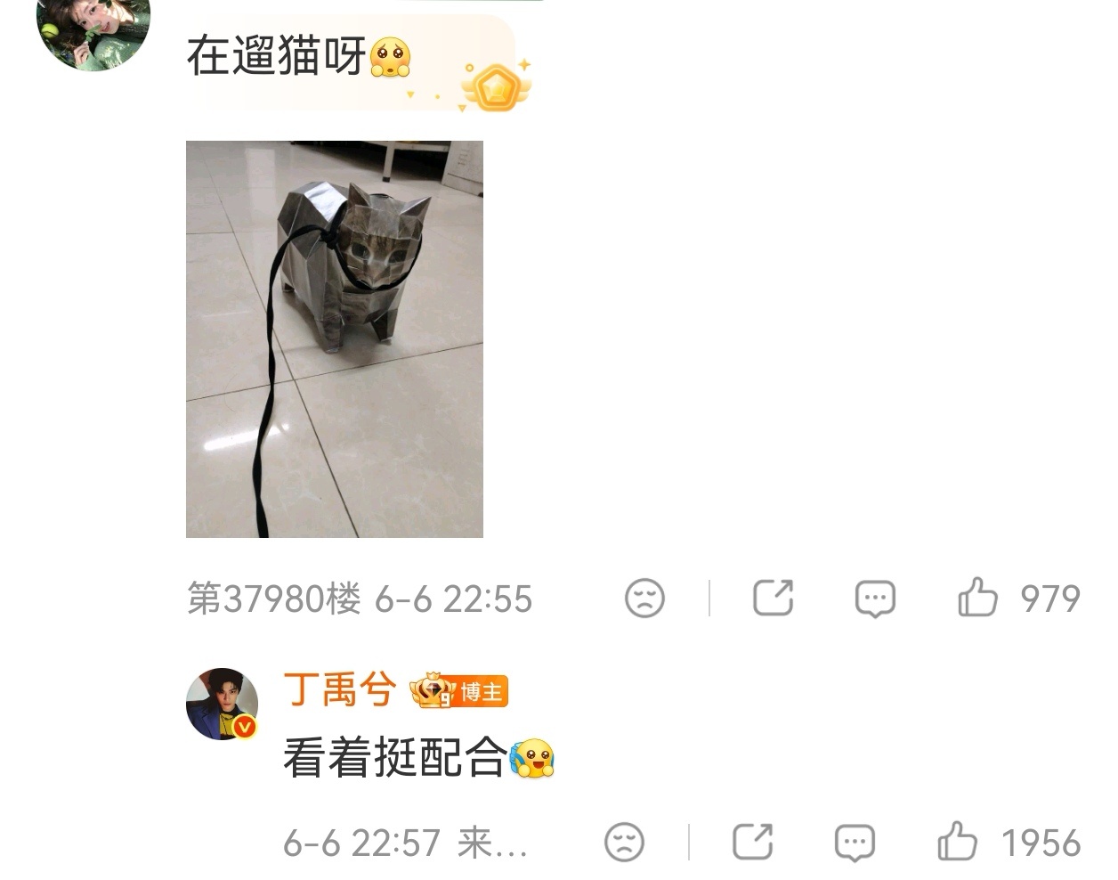 就这么陪着小海棠过家家，完全不ooc 