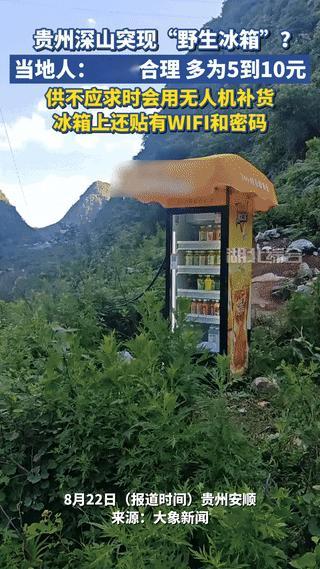 “销售鬼才！”贵州安顺，一探险爱好者在深山中居然发现了“野生冰箱”，震惊是这台冰