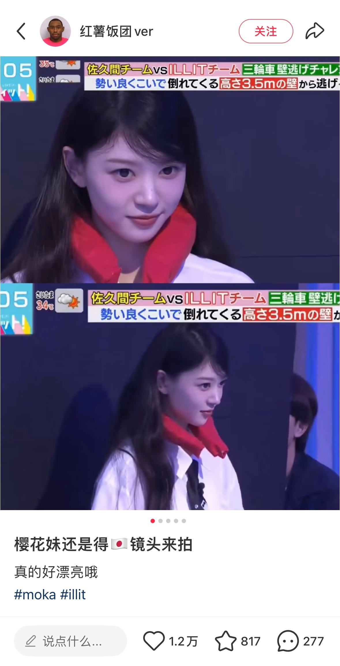 终于有镜头能把Moka酱的美清晰的拍出来了… ​​​