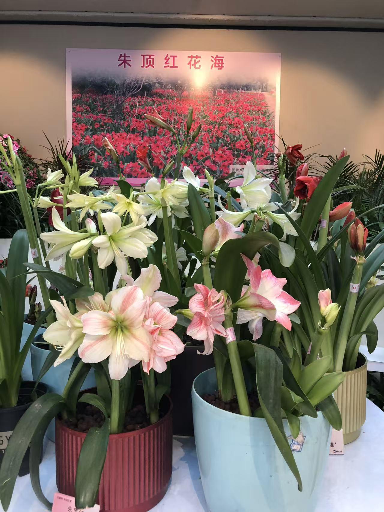 好漂亮的花花草草，这是什么地方，很美呀，看看这些花，立刻心情愉悦，不愿离去