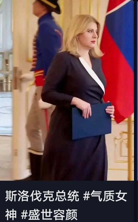刷到一张斯洛伐克首位女总统的照片，评论区里不少人说她看着“有福气”，我心里却怎么