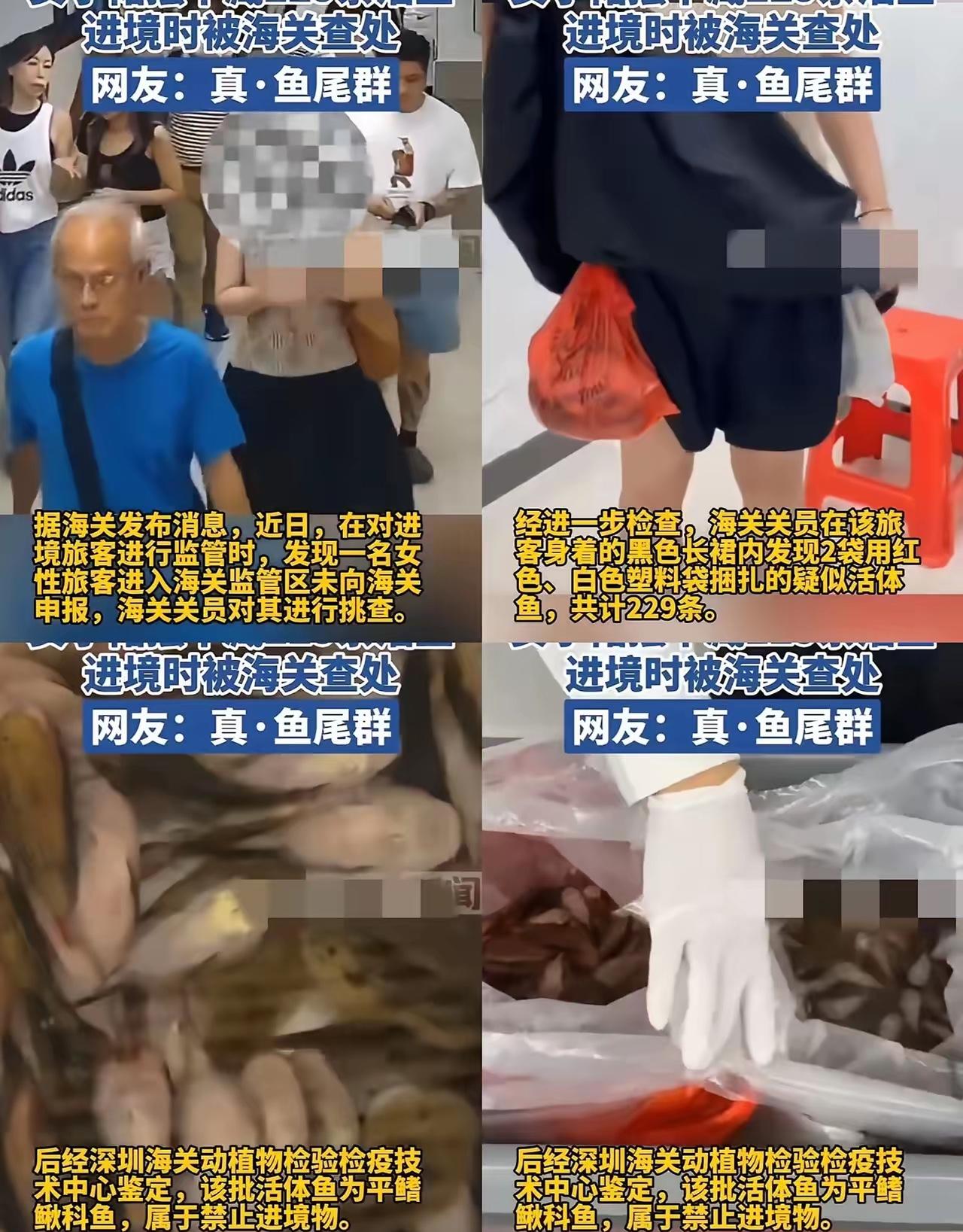 这下可算出名了，
不光深圳，全国人都知道了！
一女的就靠两个塑料袋，居然带了22