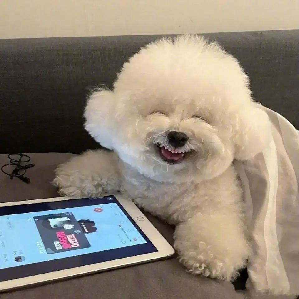 它笑的好开心啊！治愈的感觉！