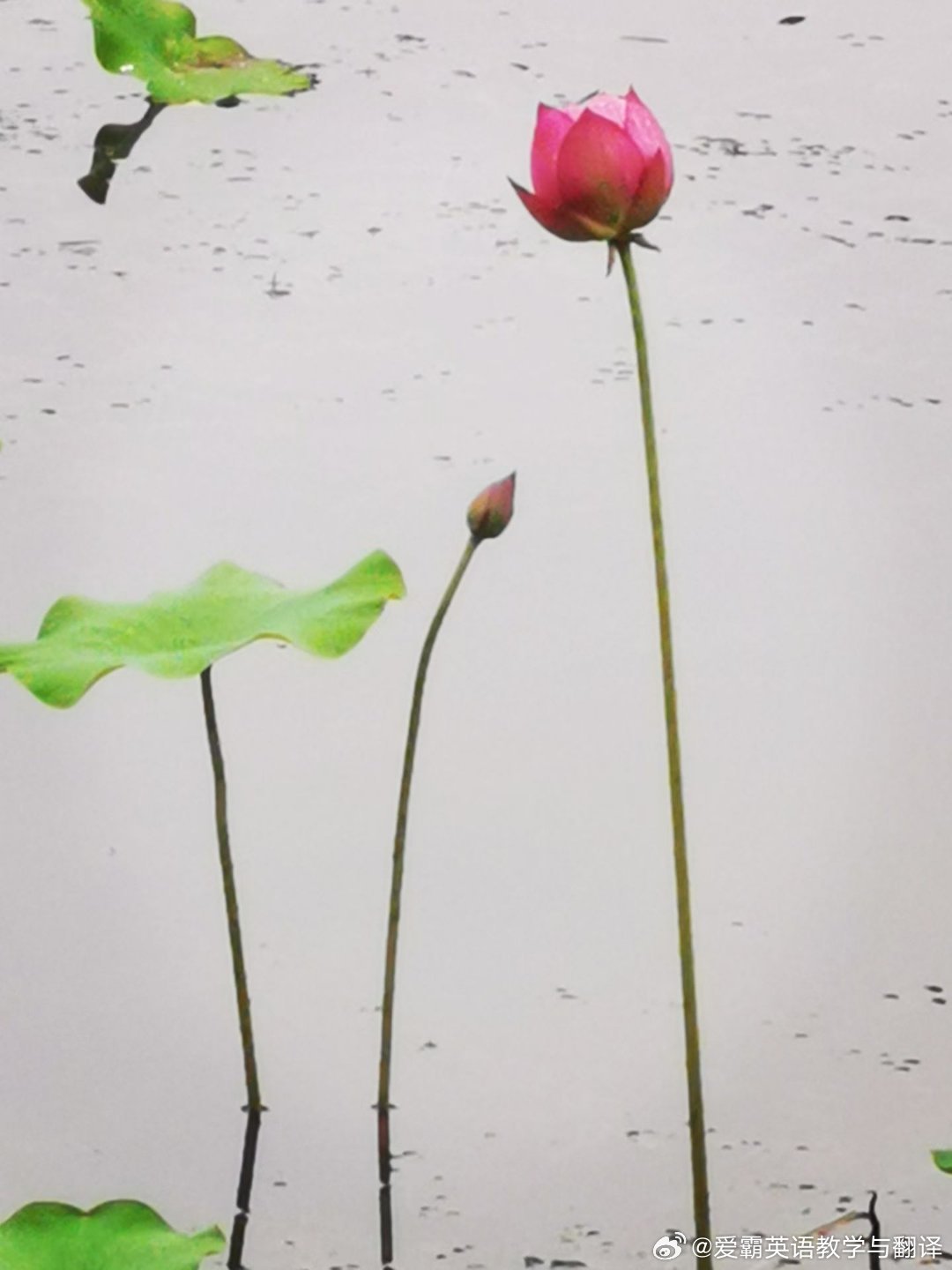 无论如何选择，只要是自己的选择，就不存在对错后悔。过去的你不会让现在的你满意，现