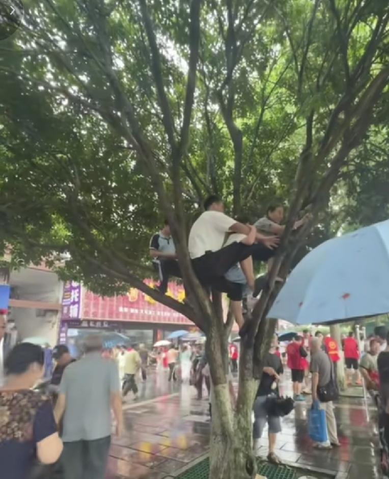 邵阳人有多喜欢看龙舟赛，看看今天的邵阳市，不仅仅是比赛好看，观众们也好看，有挤不