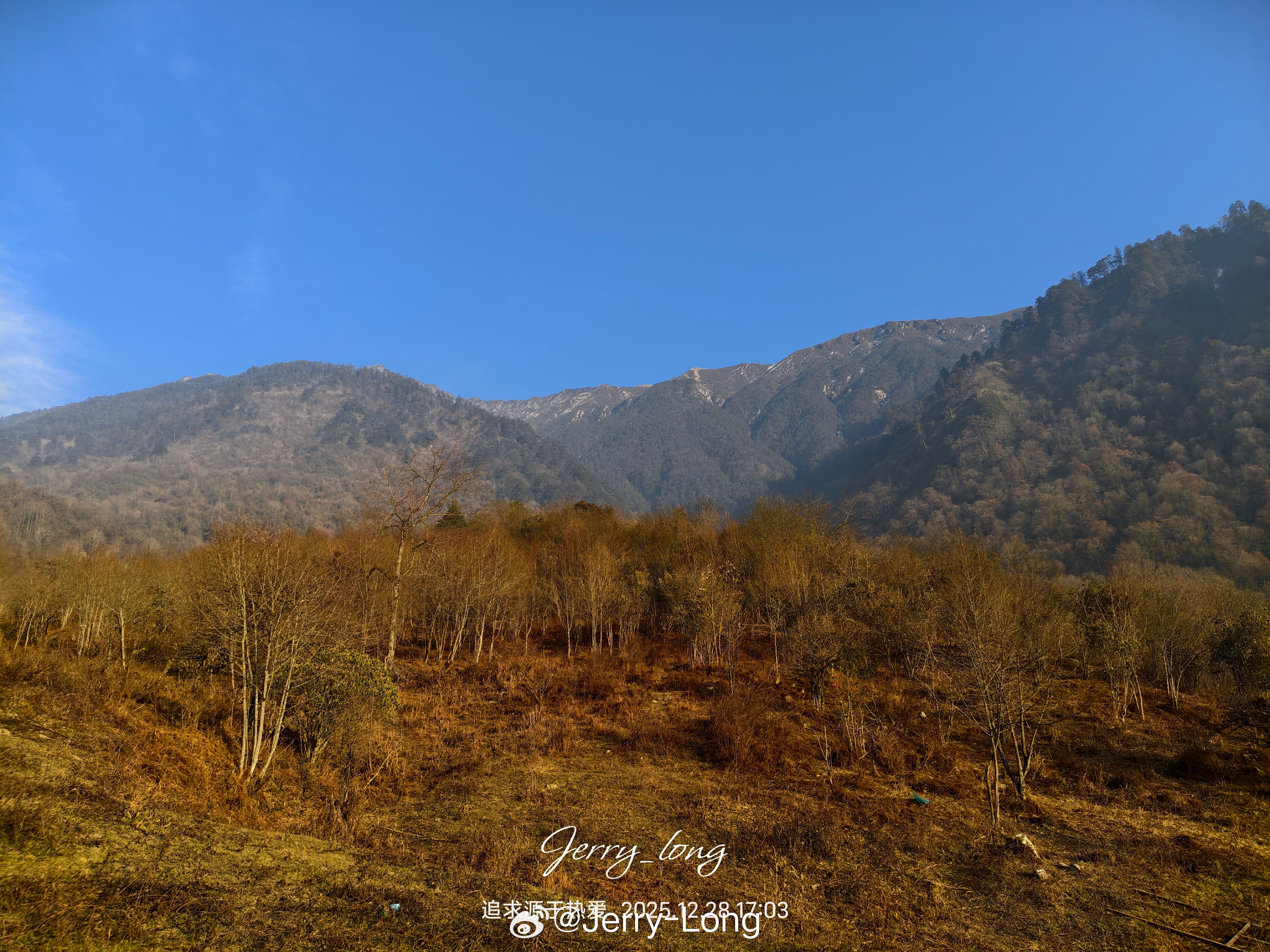 iqooiqoo15 本来想过来看雪，可惜今天没有雪这就深冬的样子，如此的萧条，