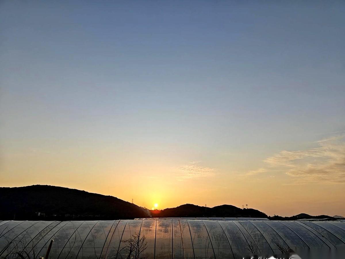 千万、千万别瞎盖那个三方协议的章！
如果你们辅导员现在正声泪俱下地求你随便找个公